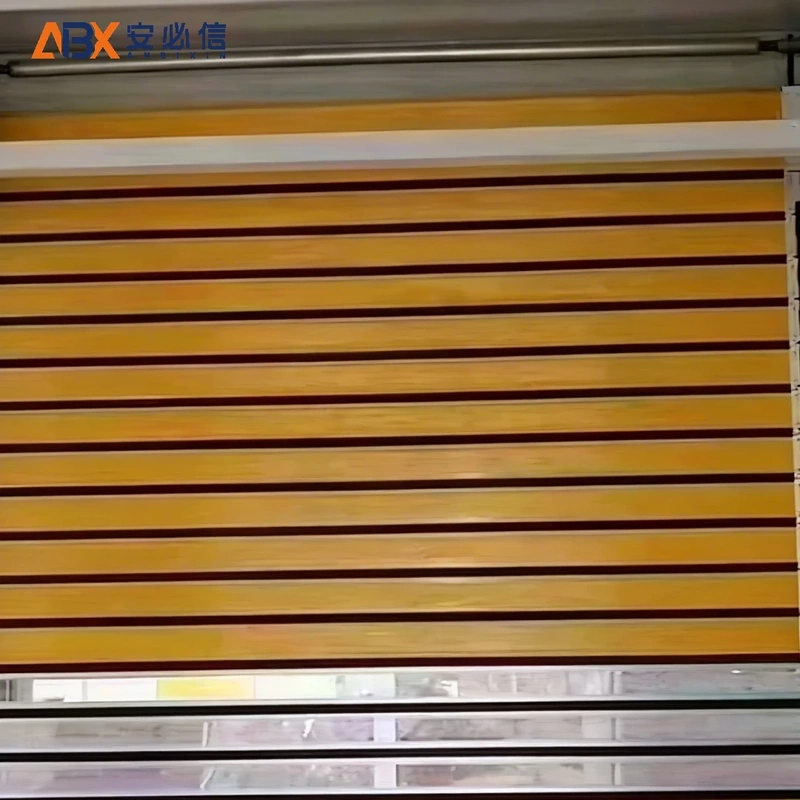 拉萨软帘高速门
