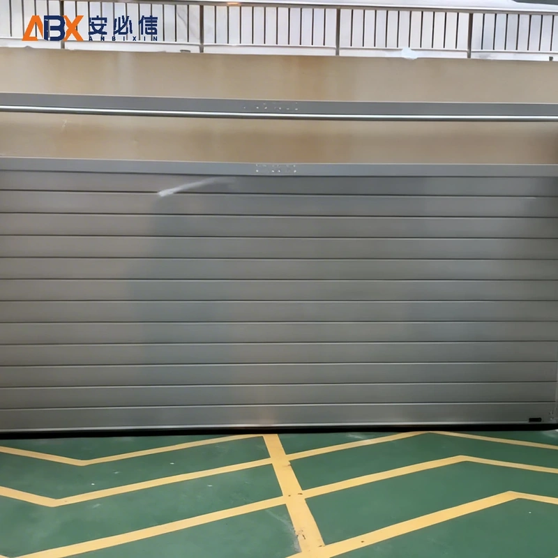 拉萨感应高速门